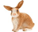 Schleich Rabbit (13827)