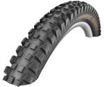 Schwalbe Magic Mary (Addix Bikepark)