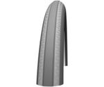 Schwalbe Tracer