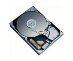 Seagate Barracuda 7200.9 500GB (ST3500641AS)