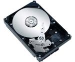 Seagate Barracuda ES.2 1TB (ST31000640SS)