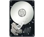 Seagate Barracuda ES.2 500GB (ST3500320NS)