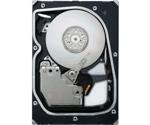 Seagate Cheetah 15K.5