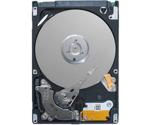 Seagate Momentus 7200.4