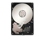 Seagate SV35.5 SATA 1TB (ST31000525SV)