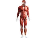 Smiffy's Anatomy Man Costume