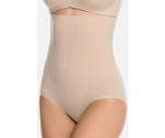 Spanx Higher Power Panties (2746)