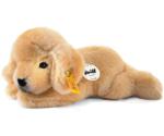 Steiff Little friend Golden Retriever puppy Lumpi 22 cm