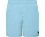 The North Face Class V Pull-On Shorts (3T2J)