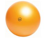 Togu Powerball Premium ABS 45 cm