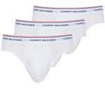 Tommy Hilfiger 3-Pack Signature Briefs (1U87903766)