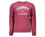 Tommy Hilfiger Essential Logo Sweatshirt (DM0DM07024)
