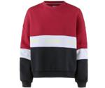 Tommy Hilfiger Farbblock-Sweatshirt with Logo-Tape (DW0DW06001)