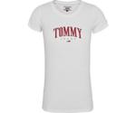 Tommy Hilfiger Logo Slim Fit T-Shirt (DW0DW08061)