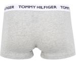 Tommy Hilfiger Trunk (UM0UM01810)