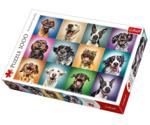 Trefl Funny Dog Portraits (1.000 pcs)