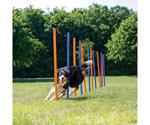 Trixie 12 Agility Slalom Poles, 115 x ø 3 cm