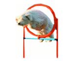 Trixie Agility Tire Jump, 115 x ø 3 cm, ø 65 cm