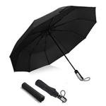 Umbrella, InaRock 10 Ribs Auto Open/Close Windproof Umbrella, Waterproof Travel Umbrella, Portable Umbrellas with Ergonomic Handle