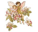 Wallies Apple Blossom Fairies