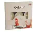 Wax Lyrical Colony Powder Fresh Set Of 9 Tealights