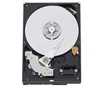 Western Digital Caviar GP SATA II 1TB (WD10EAVS)