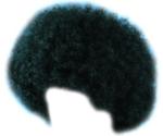 Widmann Huge Disco Afro Wig