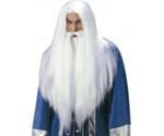 Widmann Magician wig and beard for men