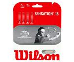 Wilson Sensation 16 12m