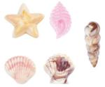 Wilton Candy Mold-Seashells 11 Cavities (5 Designs)