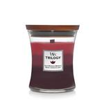 WoodWick Hourglass Scented Trilogy Candle with Pluswick Innovation, Sun-Ripened Berries, Medium