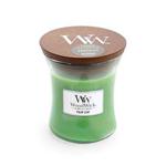 WoodWick Medium Hourglass Scented Candle with Pluswick Innovation, Palm Leaf