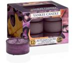 Yankee Candle Autumn Glow Candle