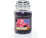 Yankee Candle Black Plum Blossom (623 g)