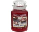 Yankee Candle Frosty Gingerbread 623g