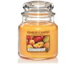 Yankee Candle Mango Peach Salsa Candle