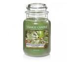 Yankee Candle Snow Dusted Bayberry Leaf 623g