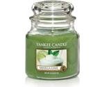 Yankee Candle Vanilla Lime Housewarmer (411 g)