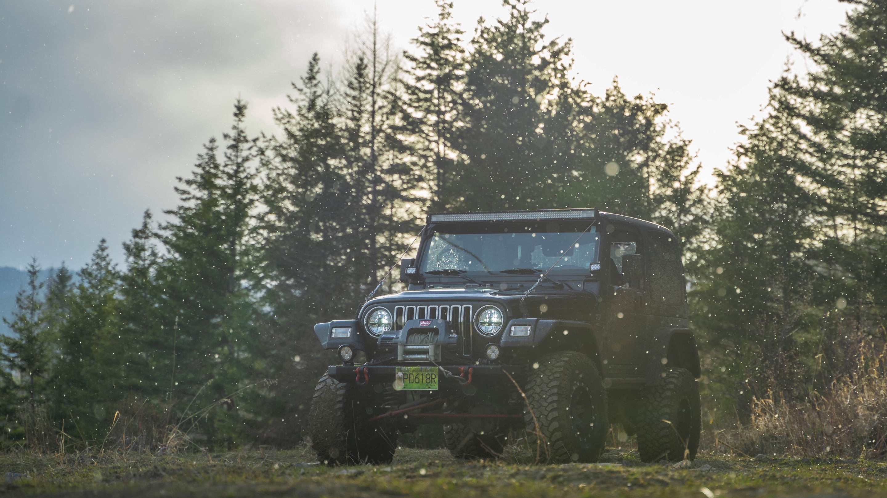 1998 Jeep Wrangler TJ - Niki | REVKIT