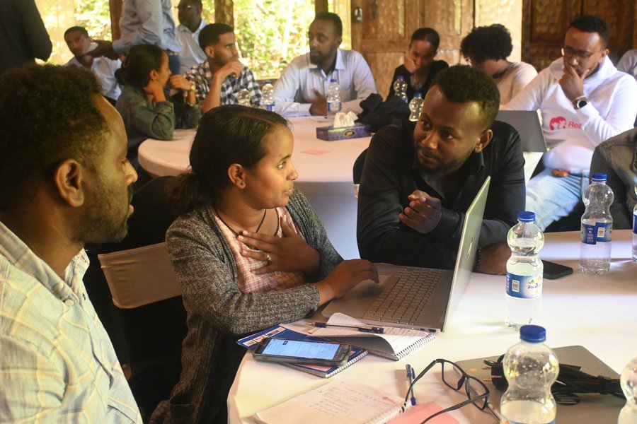 Photo from one of the workshops during the Immersion Week