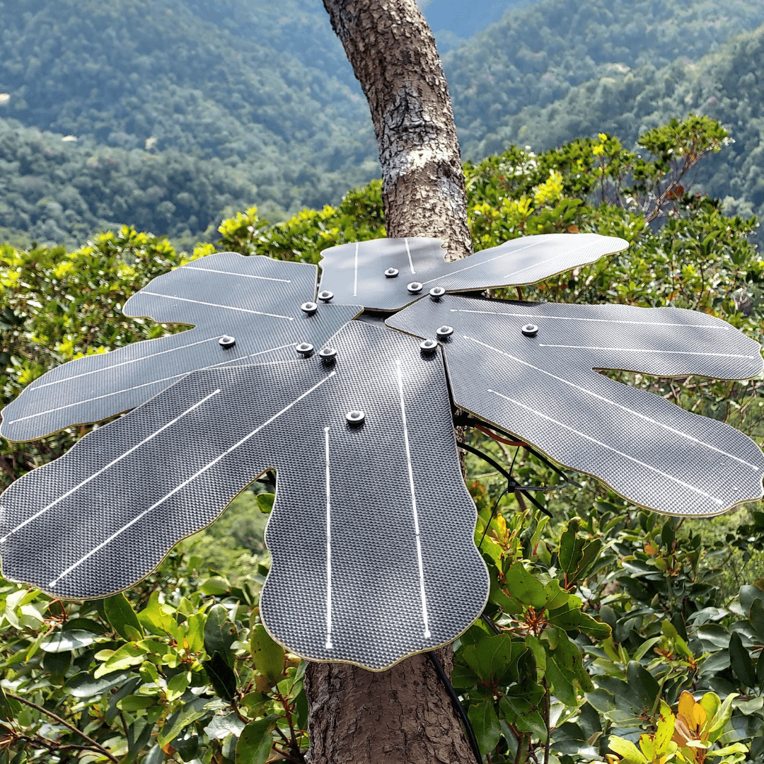 The Guardian device mounted on a tree