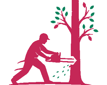 rfcx-monitor-wildlife-using-their-collect-edna