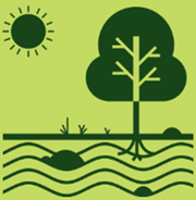 rfcx-tree1