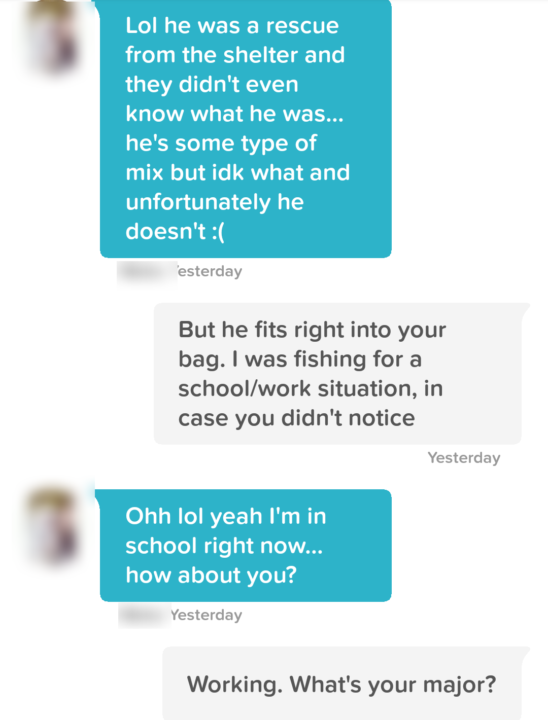Conversation screenshot