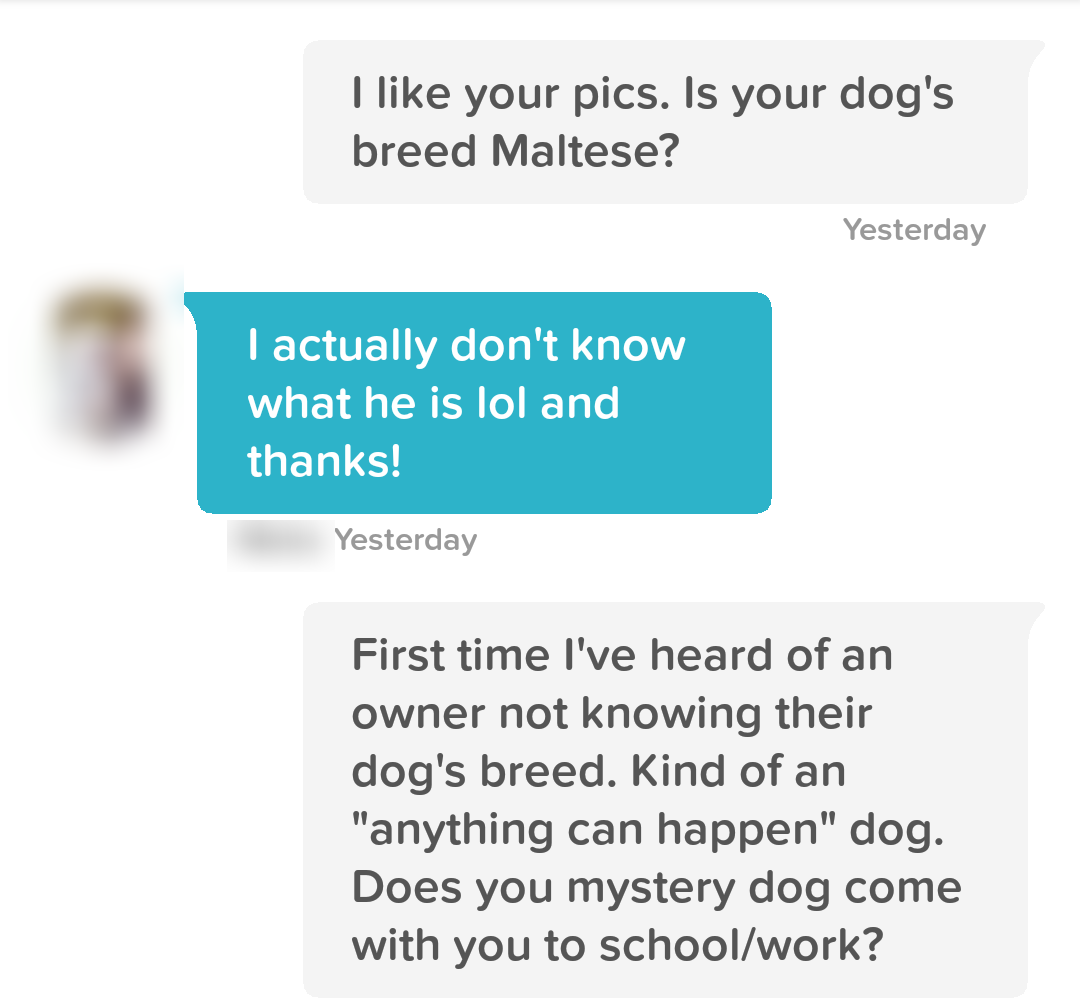 Conversation screenshot