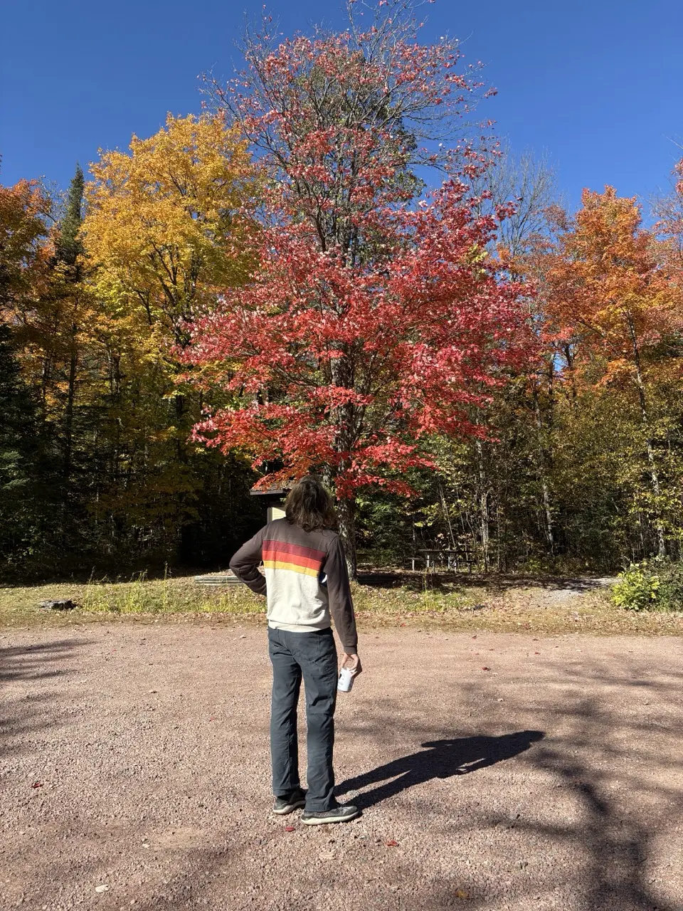 IMG_0436 Large.webp
