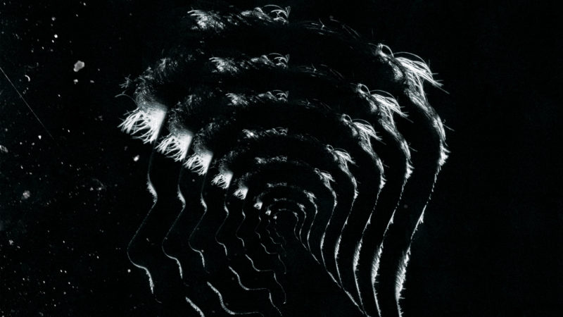 Rse297 Digital Cover