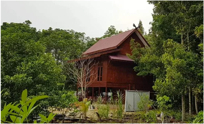 Rumah Runding: Pusat Pembelajaran Restorasi Gambut Riau