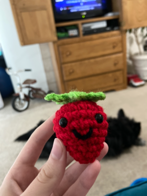 Steve the Strawberry