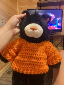 fizzy68 make for Build-a-Bear Sweater